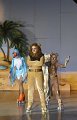 Lionking 0200